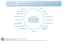 Tablet Screenshot of nmita.iowa.uiowa.edu